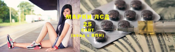 винт Алзамай