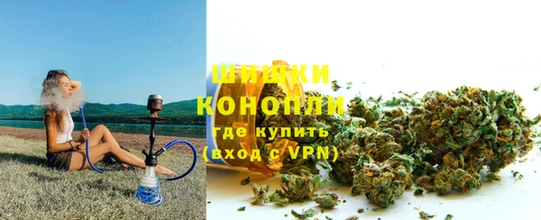 винт Алзамай