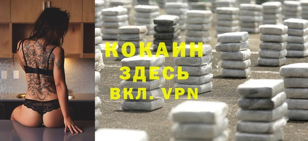 винт Алзамай