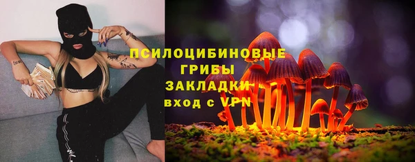 винт Алзамай