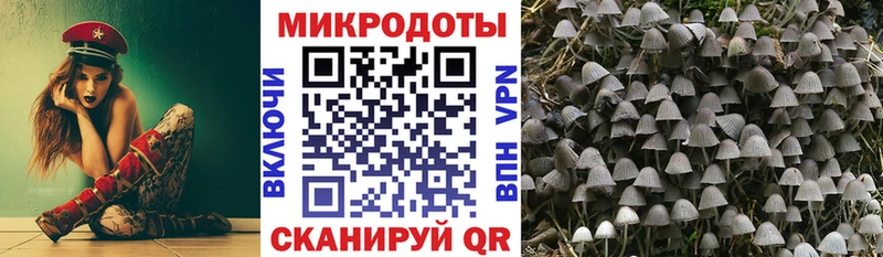 где найти наркотики  kraken вход  Псилоцибиновые грибы мухоморы  Усть-Илимск 