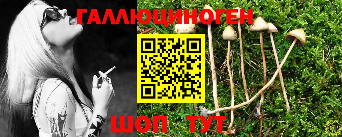Псилоцибиновые грибы Cubensis Усть-Илимск