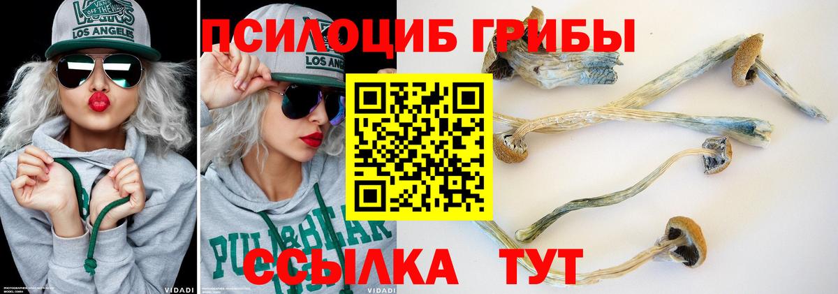 Галлюциногенные грибы Psilocybe  магазин  наркотиков  Усть-Илимск  Вход с VPN 