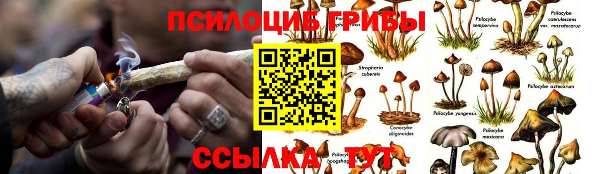 Бошки Шишки  Гашиш  Марихуана  NBOMe  Мефедрон кристаллы  Вход с VPN  Усть-Илимск  Кокаин 