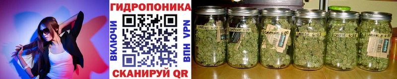 МАРИХУАНА AK-47  Усть-Илимск 