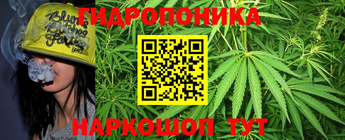 Каннабис конопля Усть-Илимск